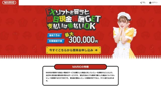 マリオ後払いの基本情報