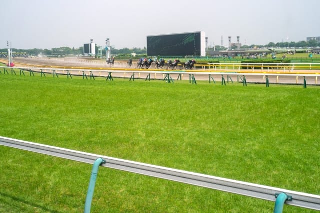 競馬が原因の借金は債務整理できない?