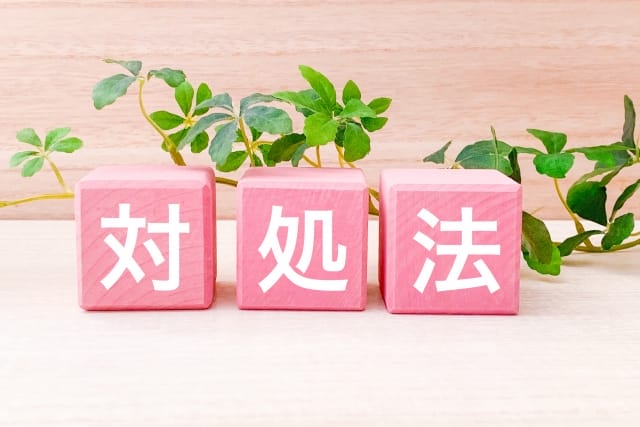 ELMO(エルモ)を利用して(借りて)しまった際の対処法