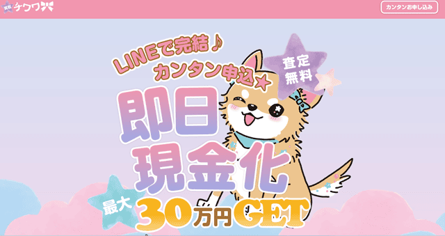 買取チワワの基本情報